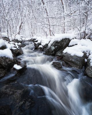 Winter Stream by Justin Crosby